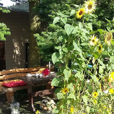 Kuchenbecker Apartment Willingen (Upland)